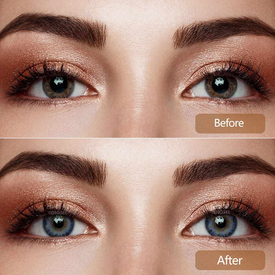 Rococo Royalty Colored Contact Lenses