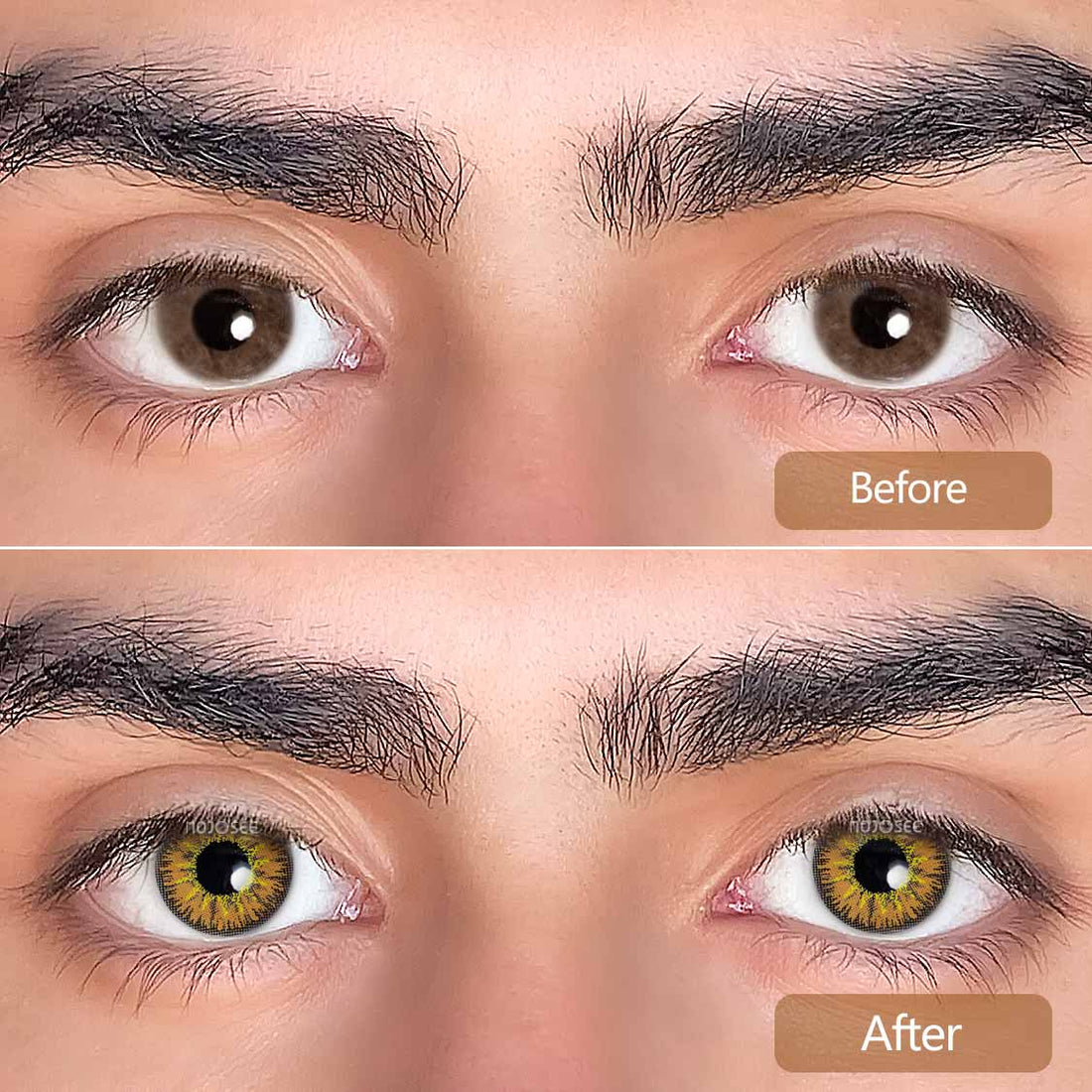 Vika Tricolor Brown Colored Contact Lenses for Men