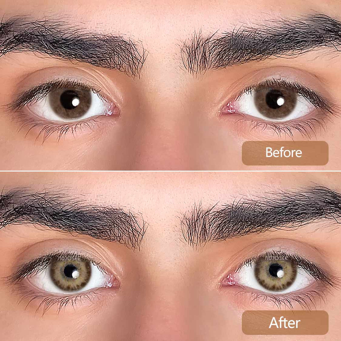 Rococo Madame Contact Lenses Colored Contact Lenses for Men