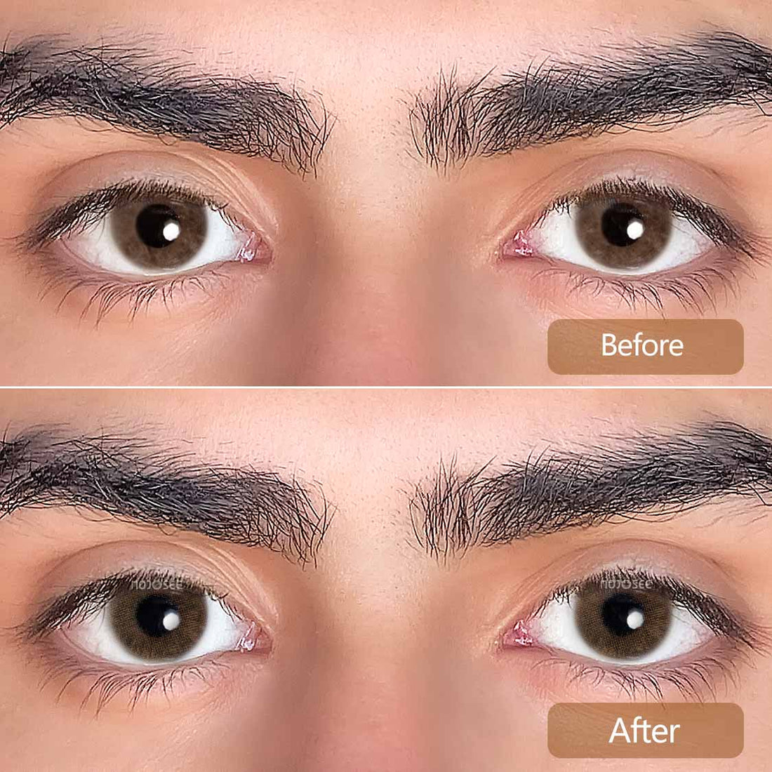 Athena Caramel Colored Contact Lenses for Men