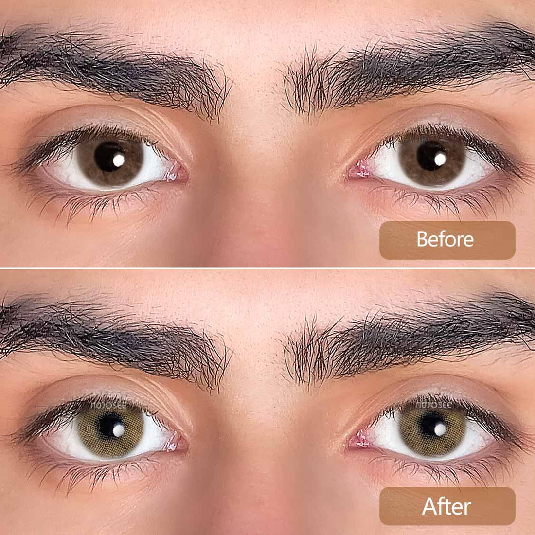 Polar Lights Brown Colored Contact Lenses for Men