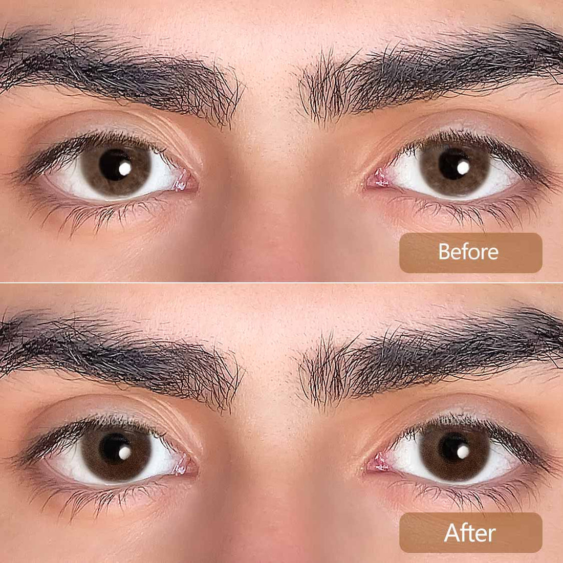Queen Chocolate Colored Contact Lenses for Men