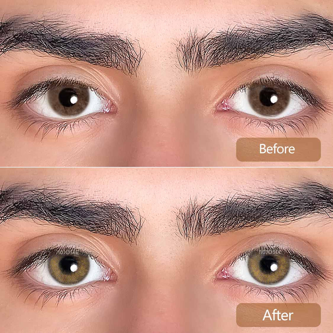 Rainbow Bassia Brown Colored Contact Lenses for Men