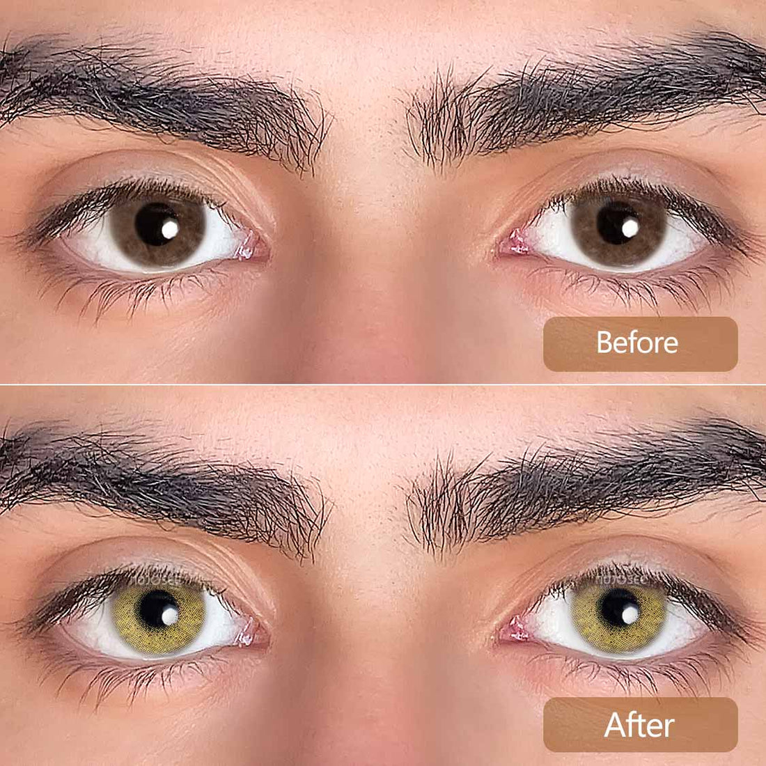 Ocean Brown Colored Contact Lenses for Men