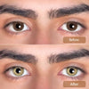 DNA Taylor Brown Hazel-b Colored Contacts Lenses
