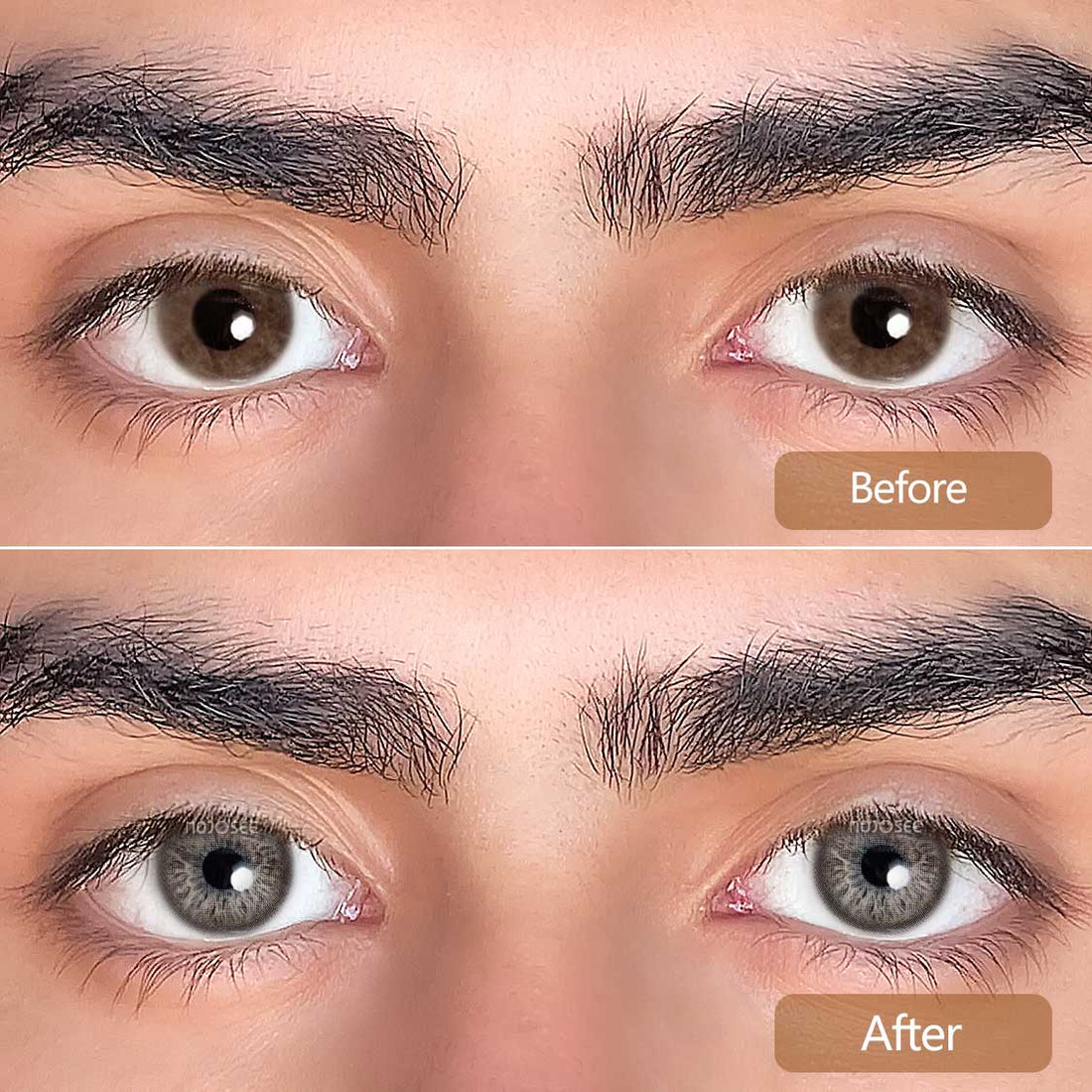 Rococo Courtship Contact Lenses Colored Contact Lenses for Men