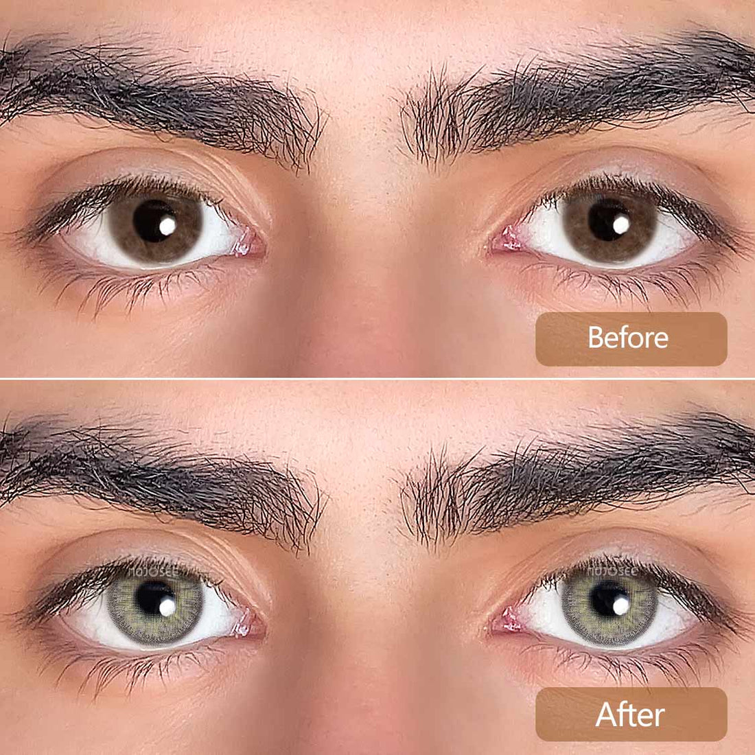 Athena Sugar Gray Colored Contact Lenses for Men