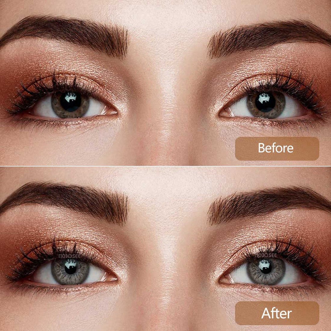 Rococo Courtship Colored Contact Lenses