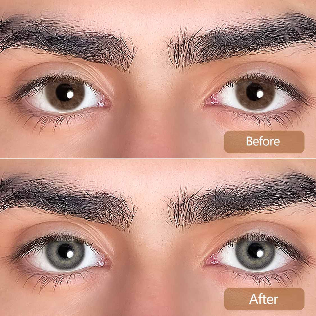 Rich Girl Gray Colored Contact Lenses for Men