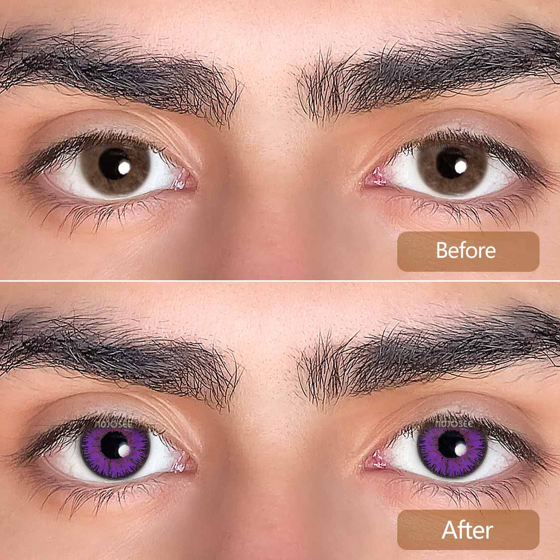 Vika Tricolor Violet Colored Contact Lenses for Men
