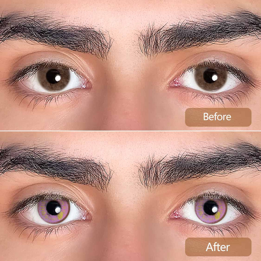 Anime Violet Colored Contact Lenses for Men