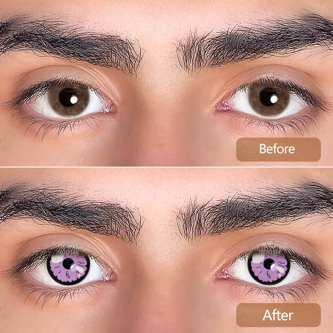 Shizuku Purple Colored Contact Lenses for Men