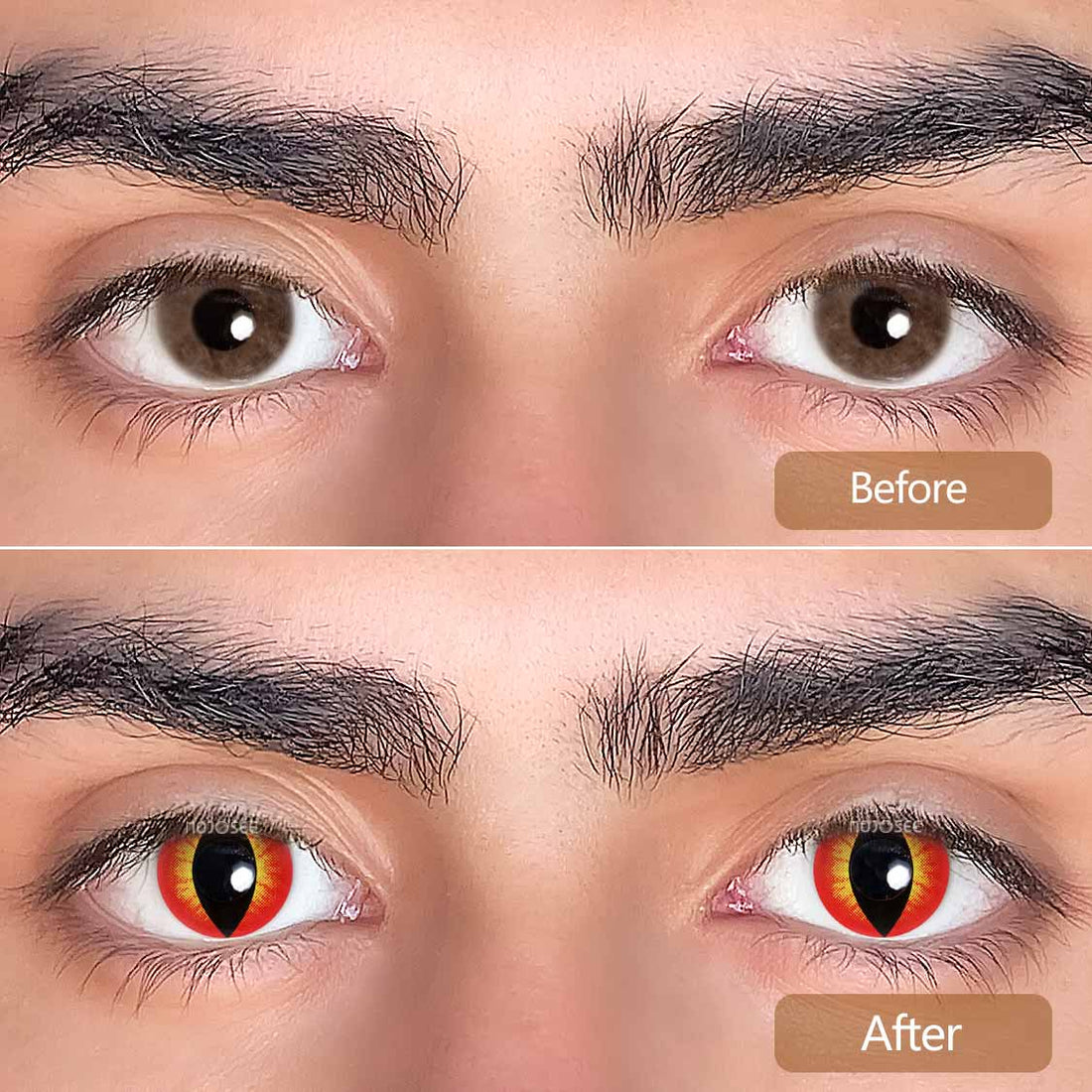 Cat Eyes Red Contacts Colored Contact Lenses